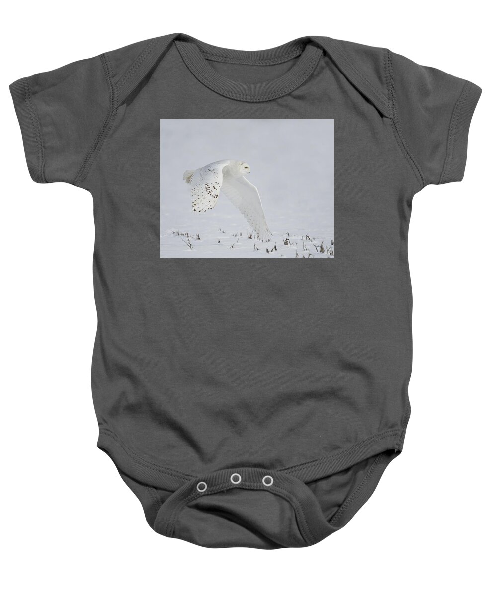 Snowy Flight Baby Onesie featuring the photograph Snowy Flight by CR Courson