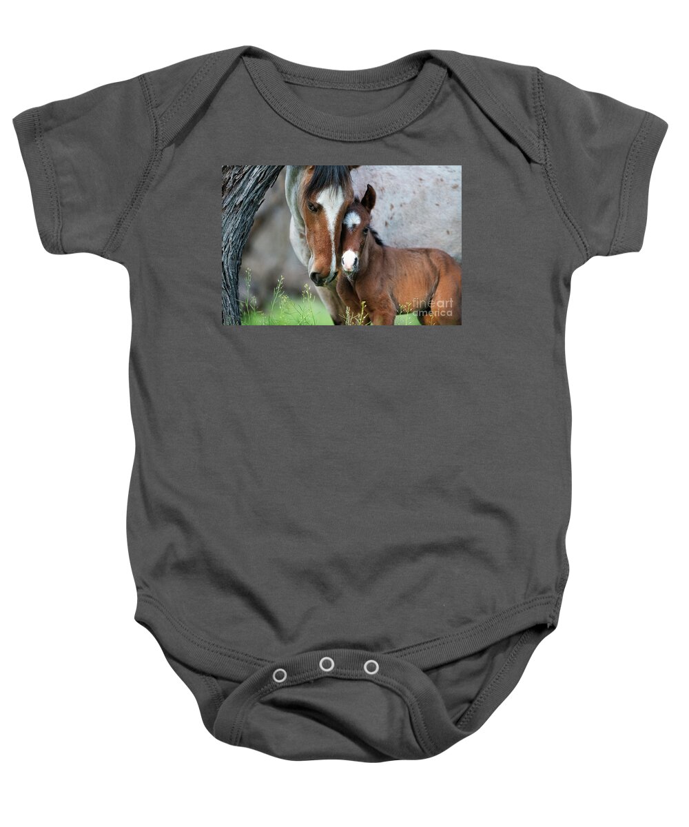 Cute Foal Baby Onesie featuring the photograph Snuggles by Shannon Hastings