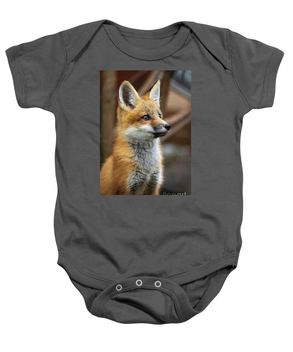 Fox Baby Onesie featuring the photograph So stinking cute.... by Rudy Viereckl