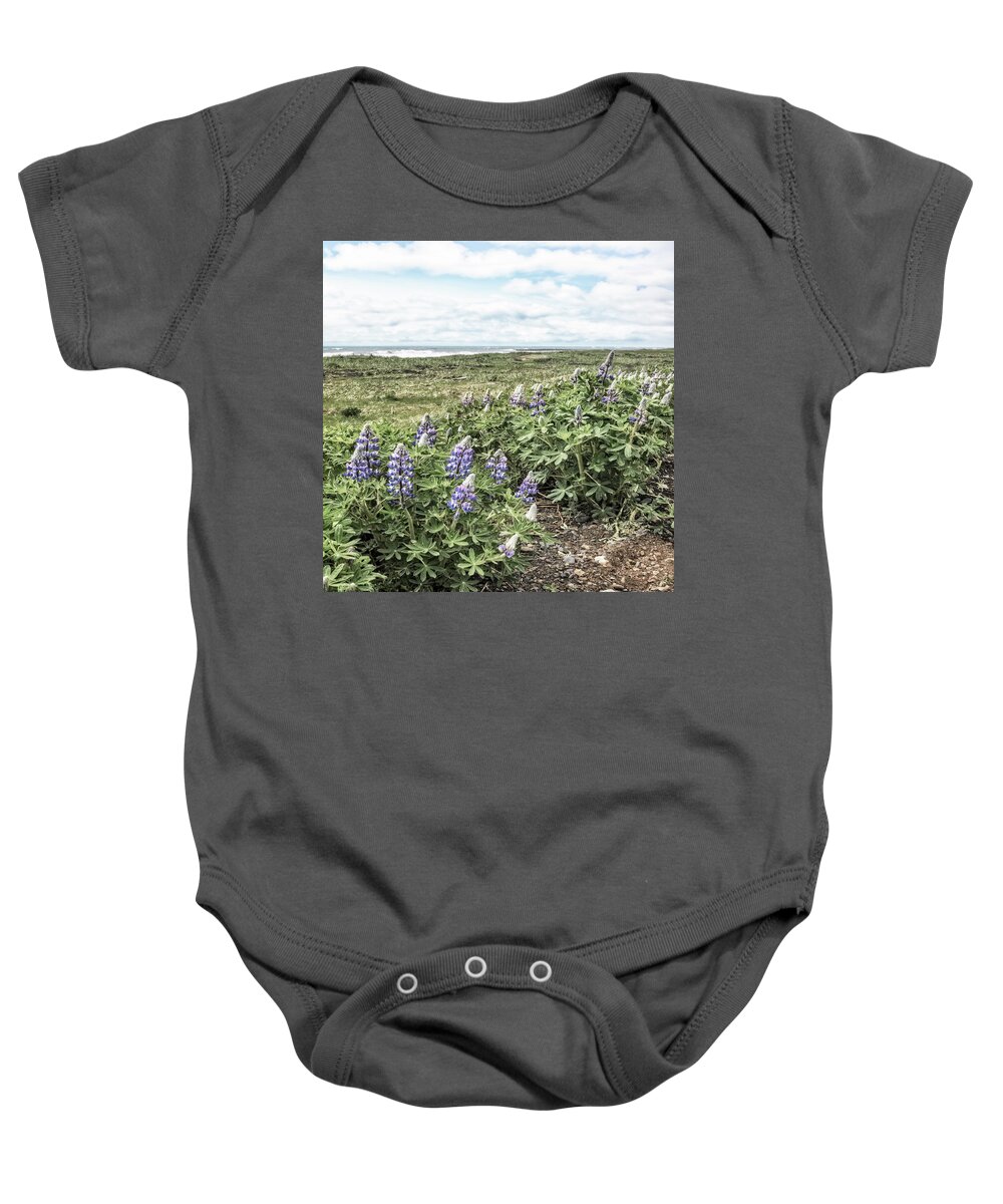 Clouds Baby Onesie featuring the photograph Soft Lupines at the Edge of the Sea by Debra and Dave Vanderlaan