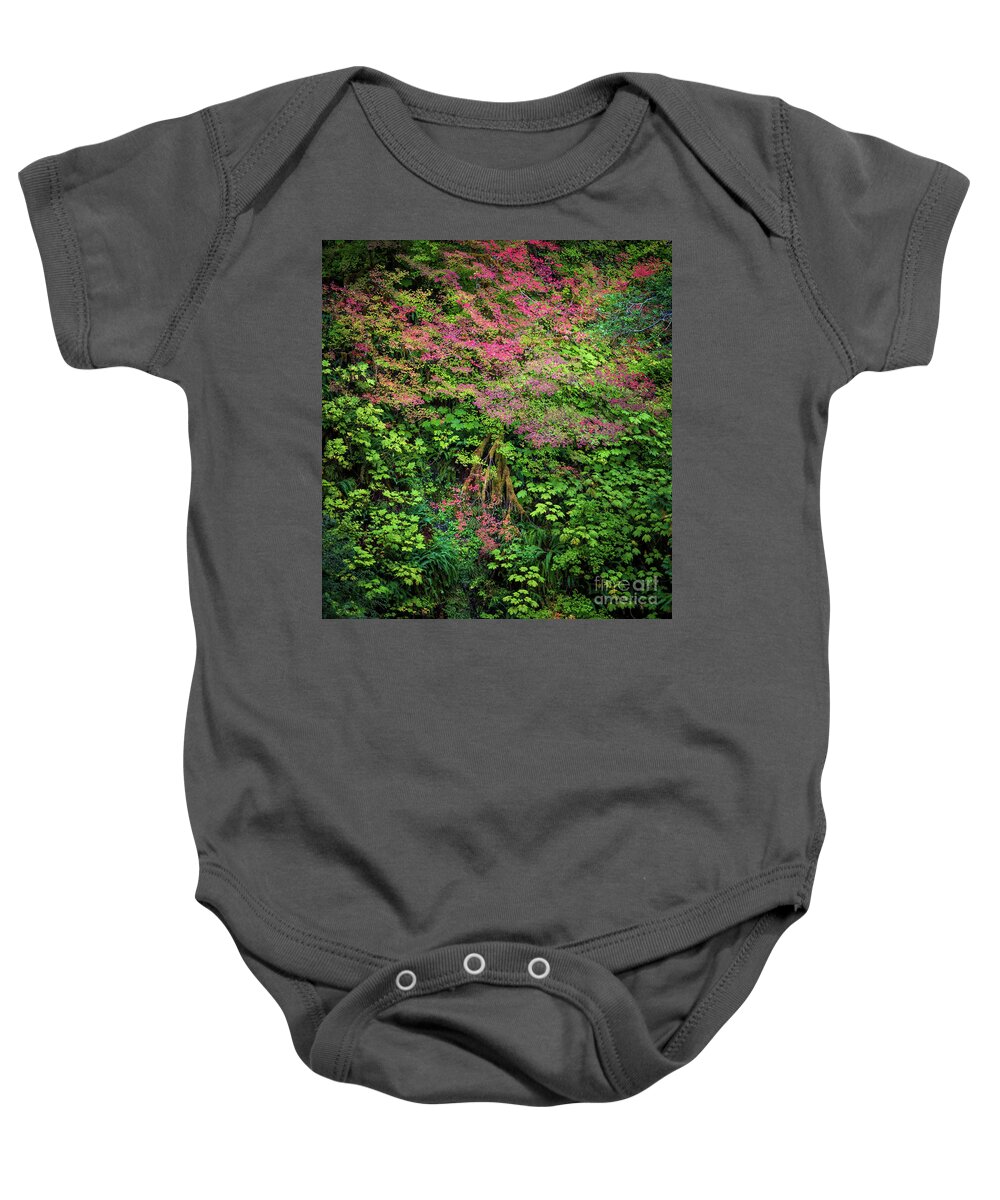 America Baby Onesie featuring the photograph Sol Duc Forest by Inge Johnsson