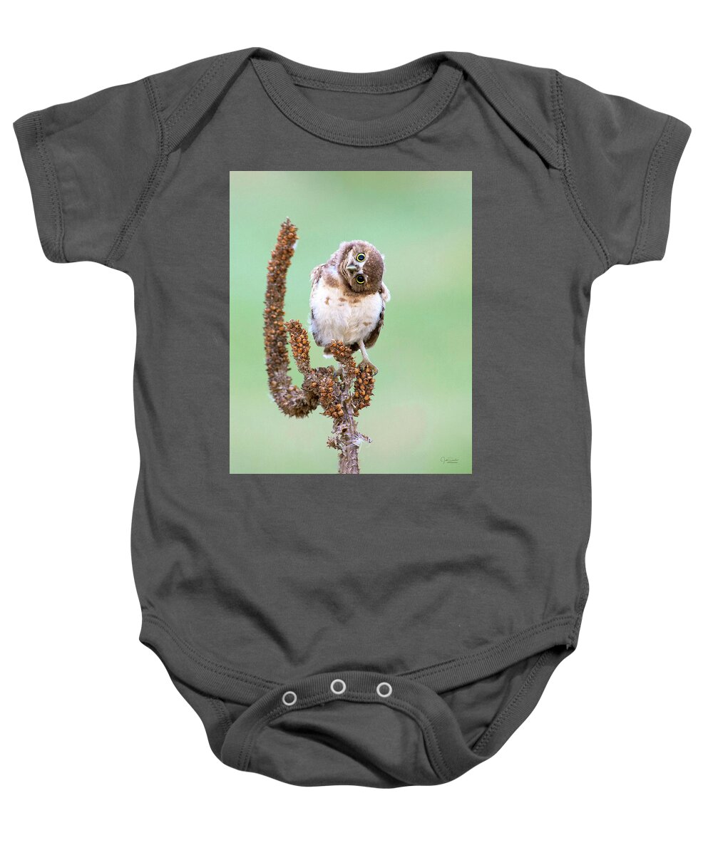 Burrowing Owl Baby Onesie featuring the photograph Some days I can't tell which way is up by Judi Dressler