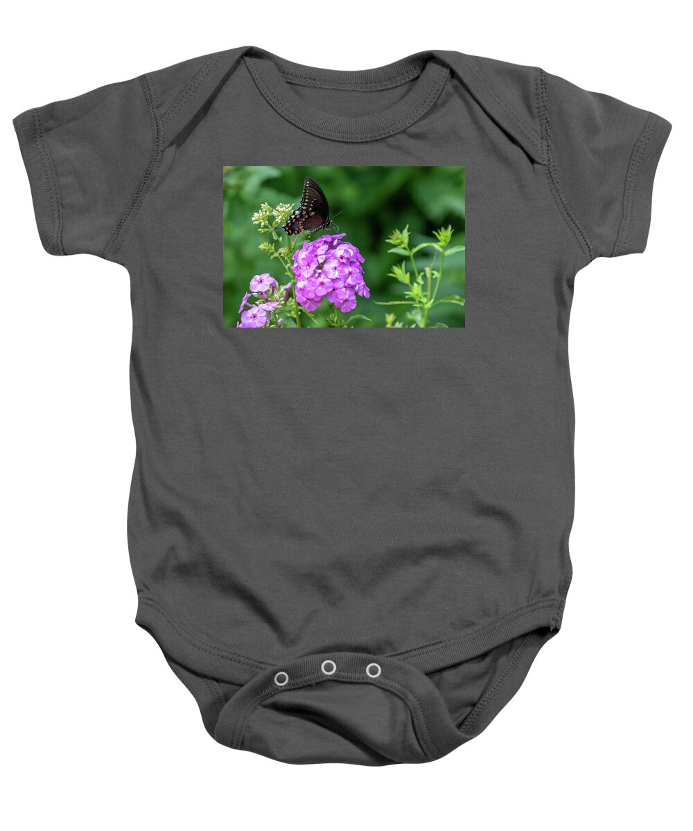 Lenoir Preserve Baby Onesie featuring the photograph Spicebush Swallowtail by Kevin Suttlehan