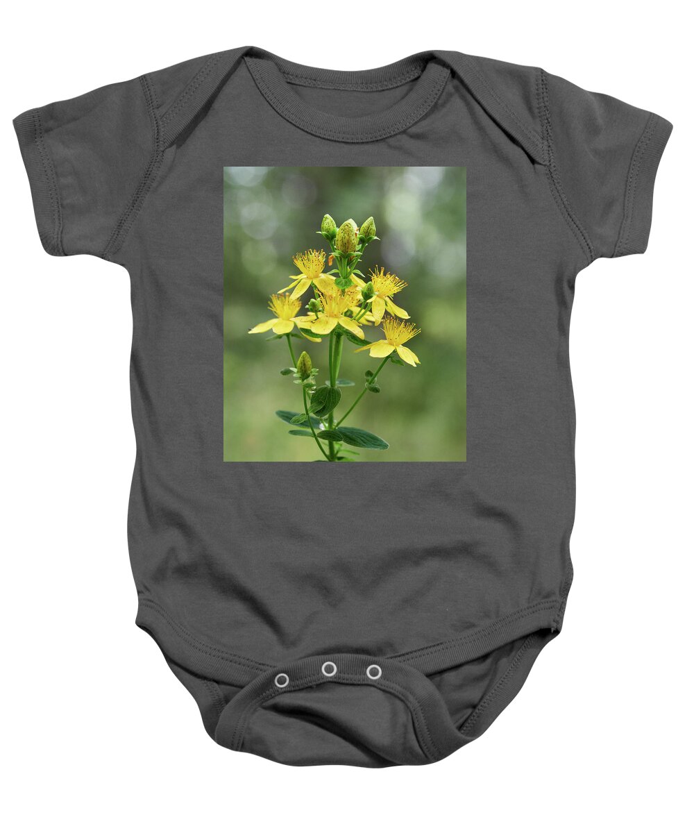 Finland Baby Onesie featuring the photograph Spotted St. Johnswort 4 by Jouko Lehto