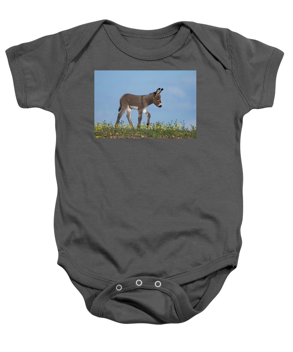 Wild Burros Baby Onesie featuring the photograph Spring Time by Mary Hone