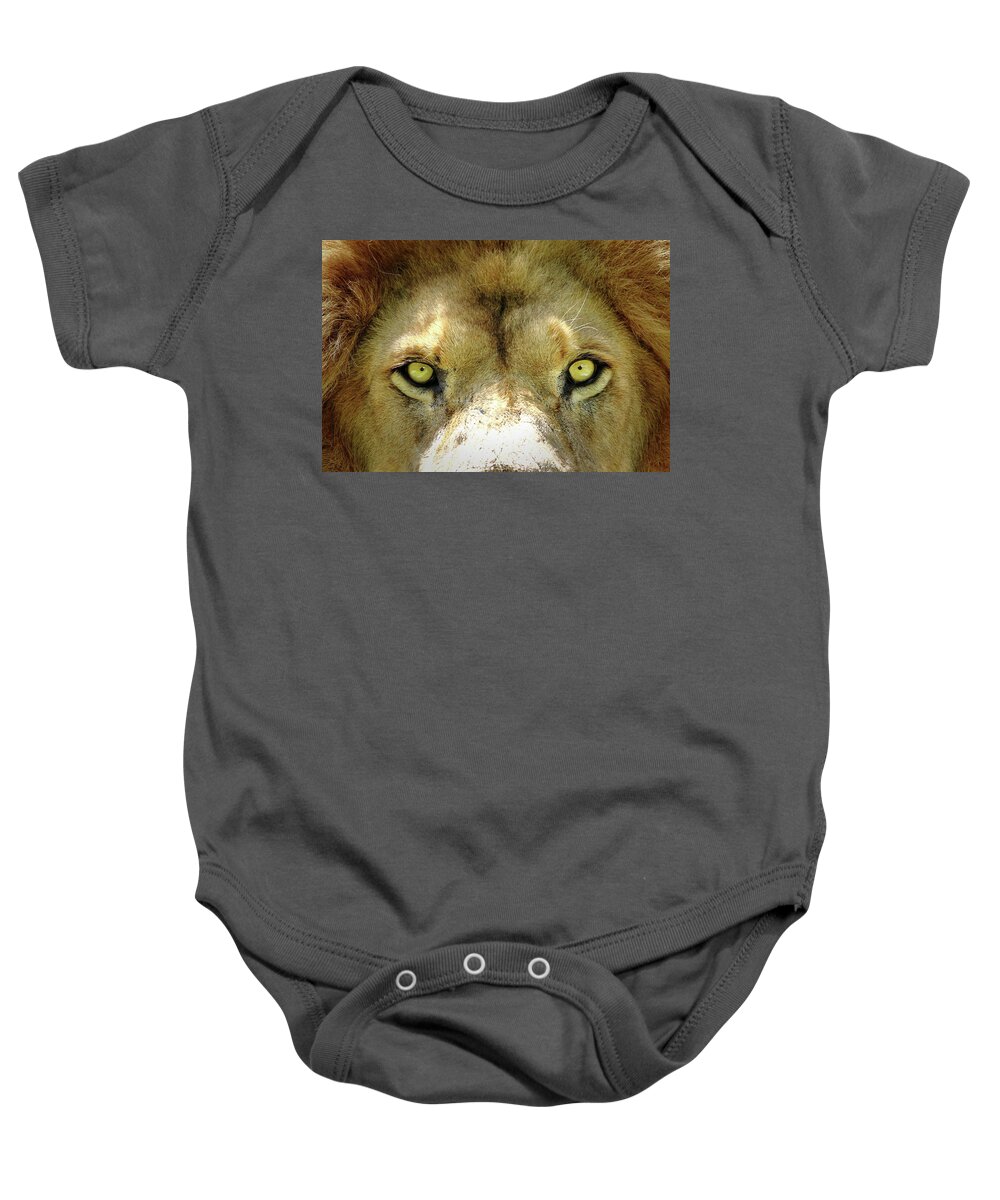 Lion Baby Onesie featuring the photograph Stare Down by Lens Art Photography By Larry Trager