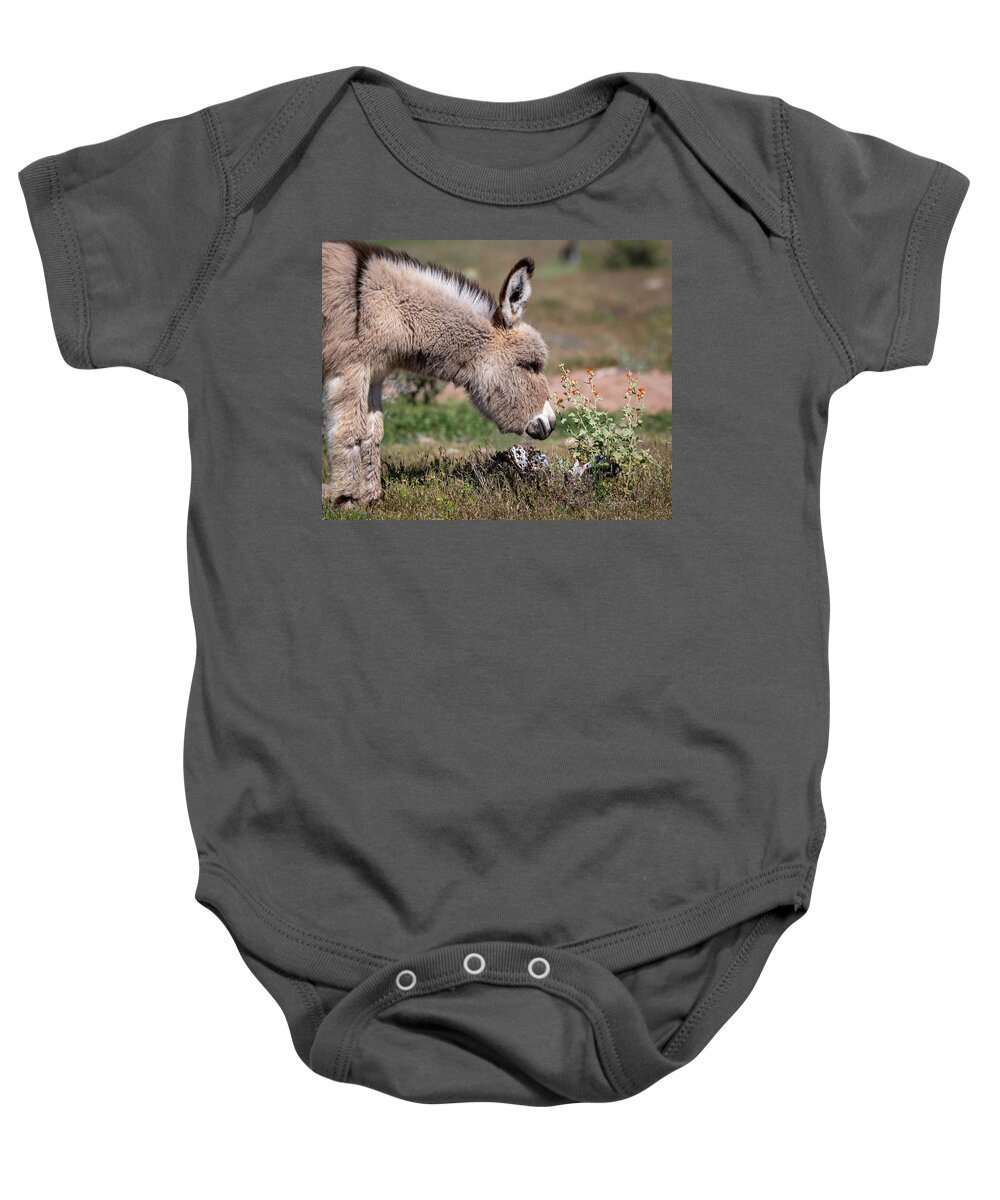 Wild Burros Baby Onesie featuring the photograph Stop and smell the flowers by Mary Hone