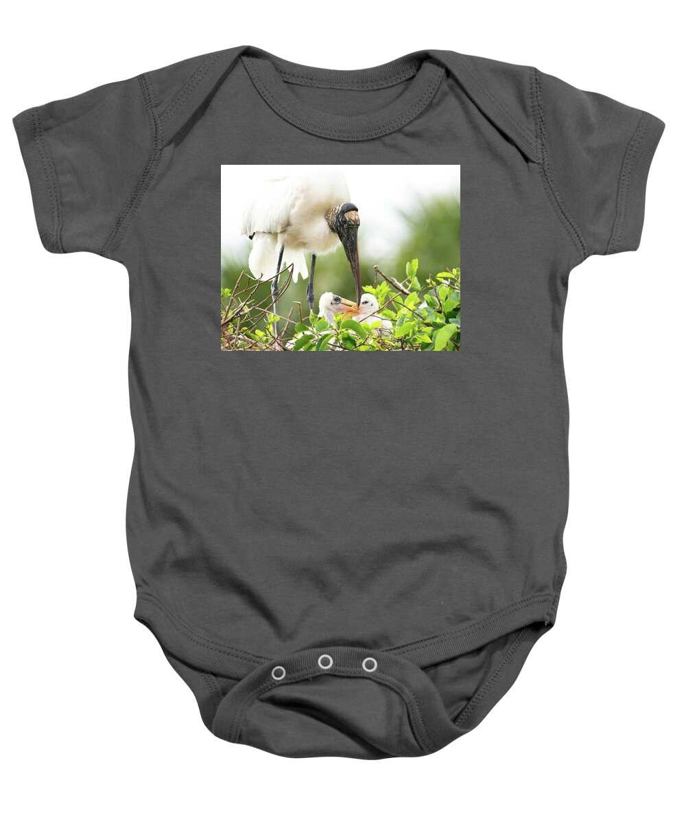 Woodstork Baby Onesie featuring the photograph Stork and Chicks by Rebecca Herranen