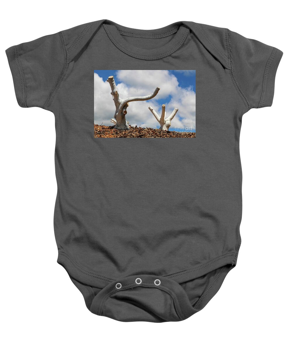 Tree Baby Onesie featuring the photograph Stumped by Erin Marie Davis