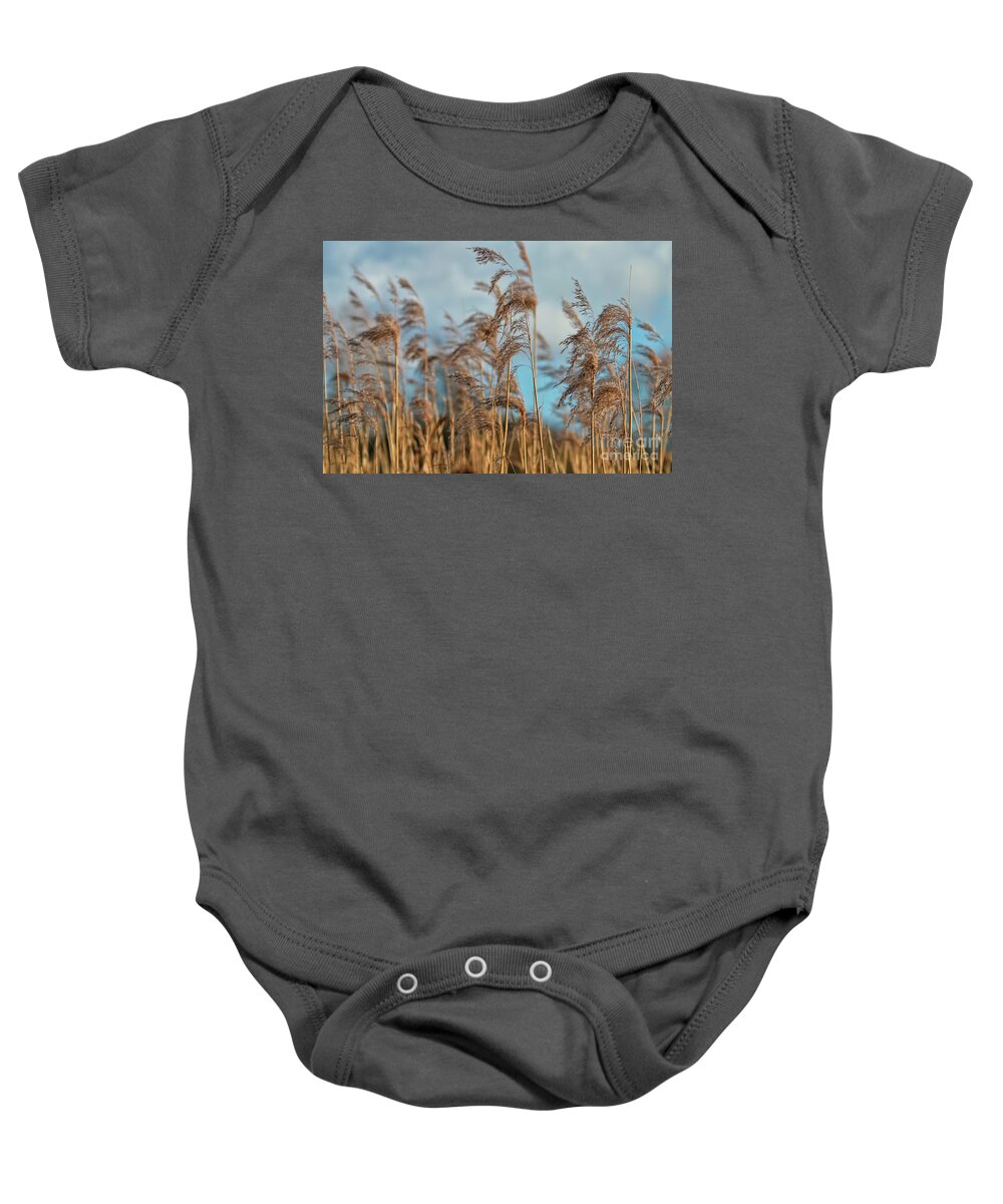 Nature Baby Onesie featuring the photograph Summer Pond Grasses by Baggieoldboy