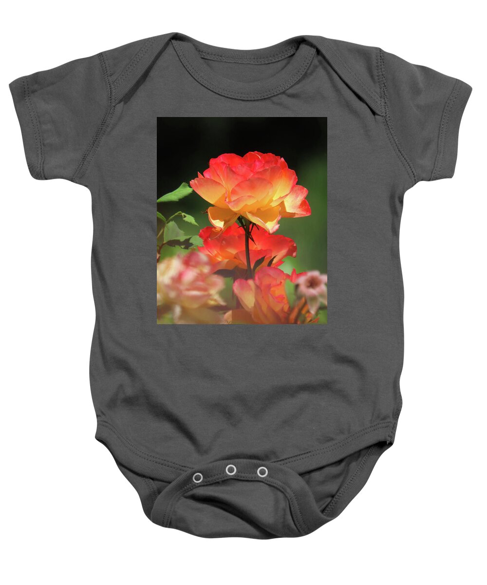 Summer Roses Baby Onesie featuring the photograph Favorite Summer Roses - Images from the Garden - Flower Photography - Roses by Brooks Garten Hauschild