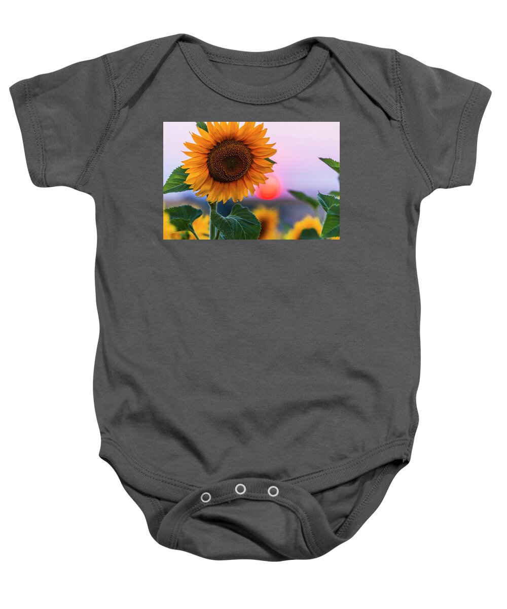 Bulgaria Baby Onesie featuring the photograph Sunflower by Evgeni Dinev