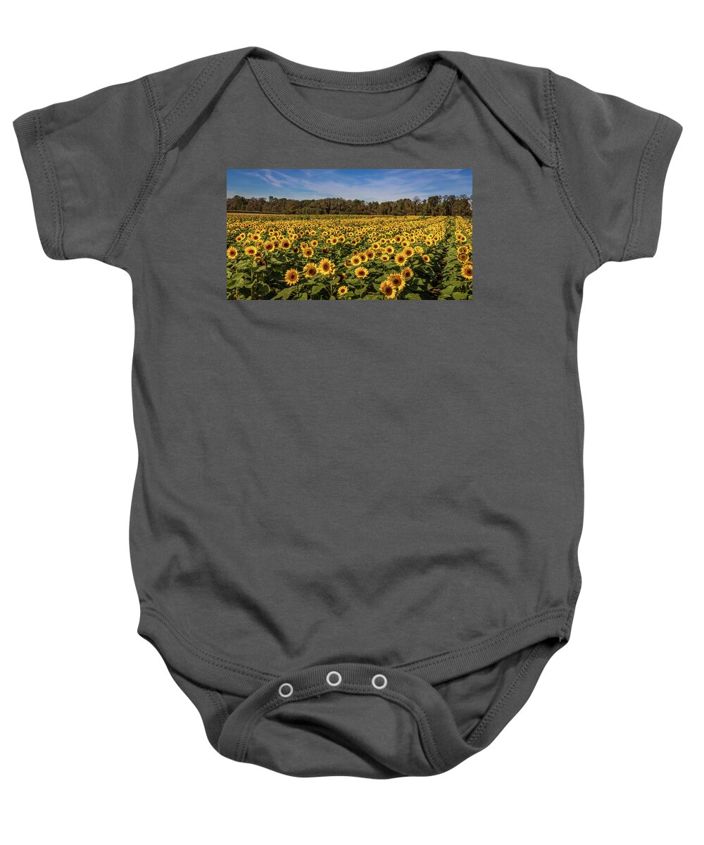 Sunflowers Baby Onesie featuring the photograph Sunflower Field by Elvira Peretsman