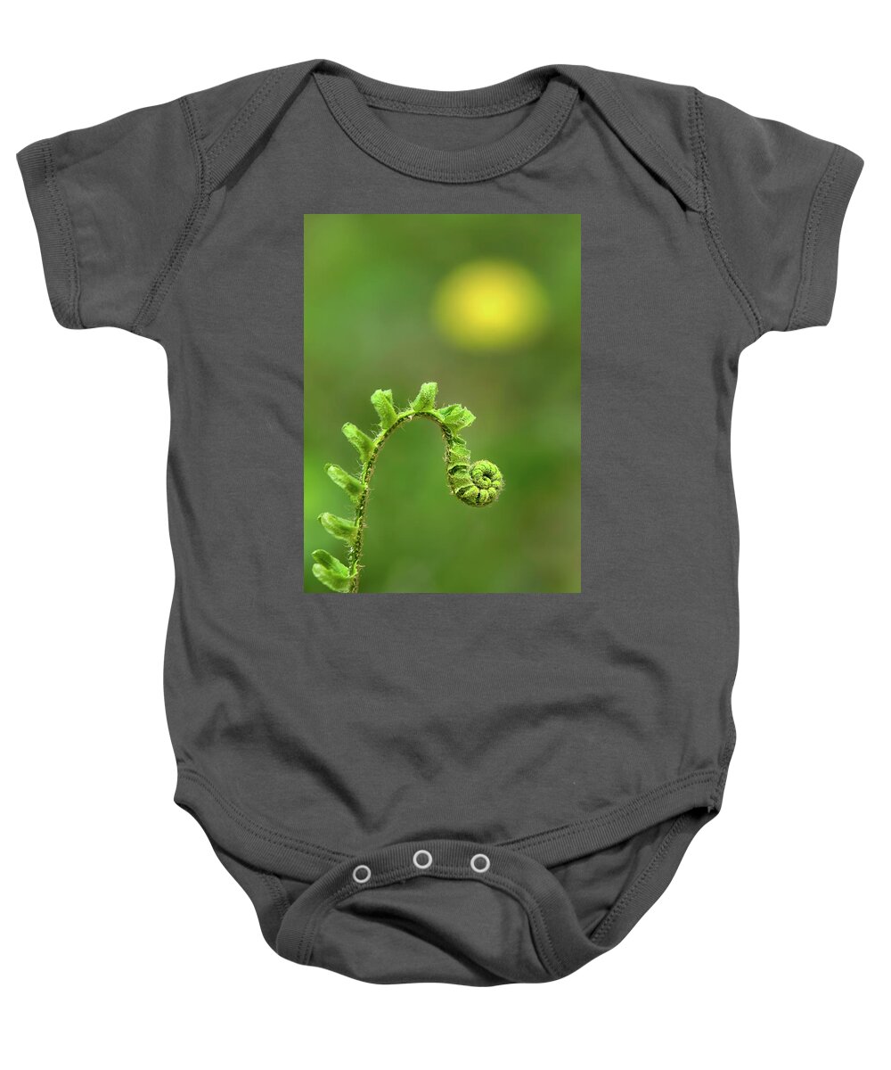 Fern Baby Onesie featuring the photograph Sunrise Spiral Fern by Christina Rollo