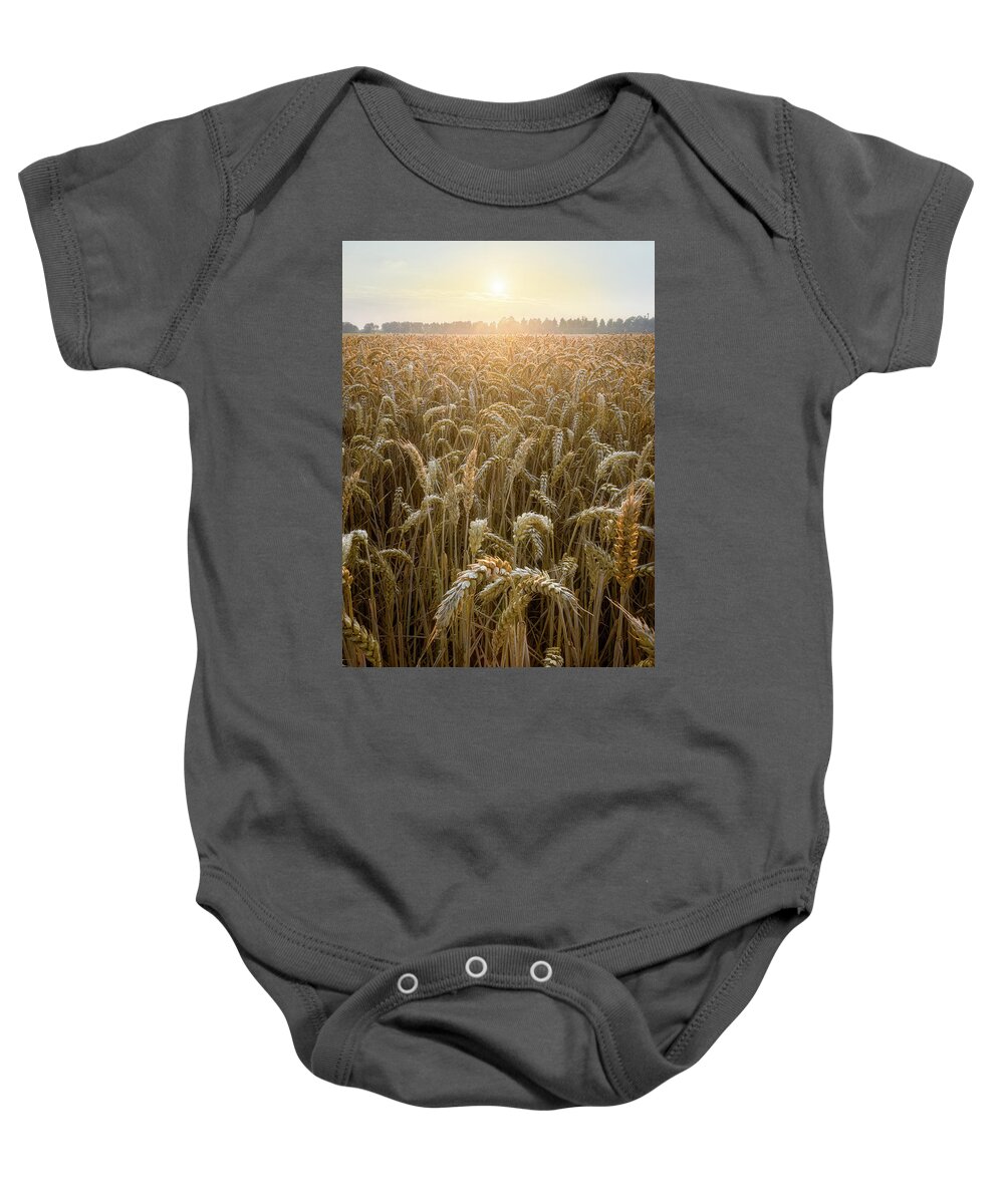 Golden Baby Onesie featuring the photograph Sunset in a wheat field by Patrick Van Os