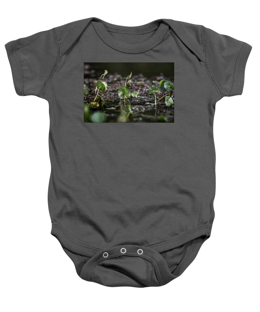 Photo Baby Onesie featuring the photograph Swamp Life by Evan Foster