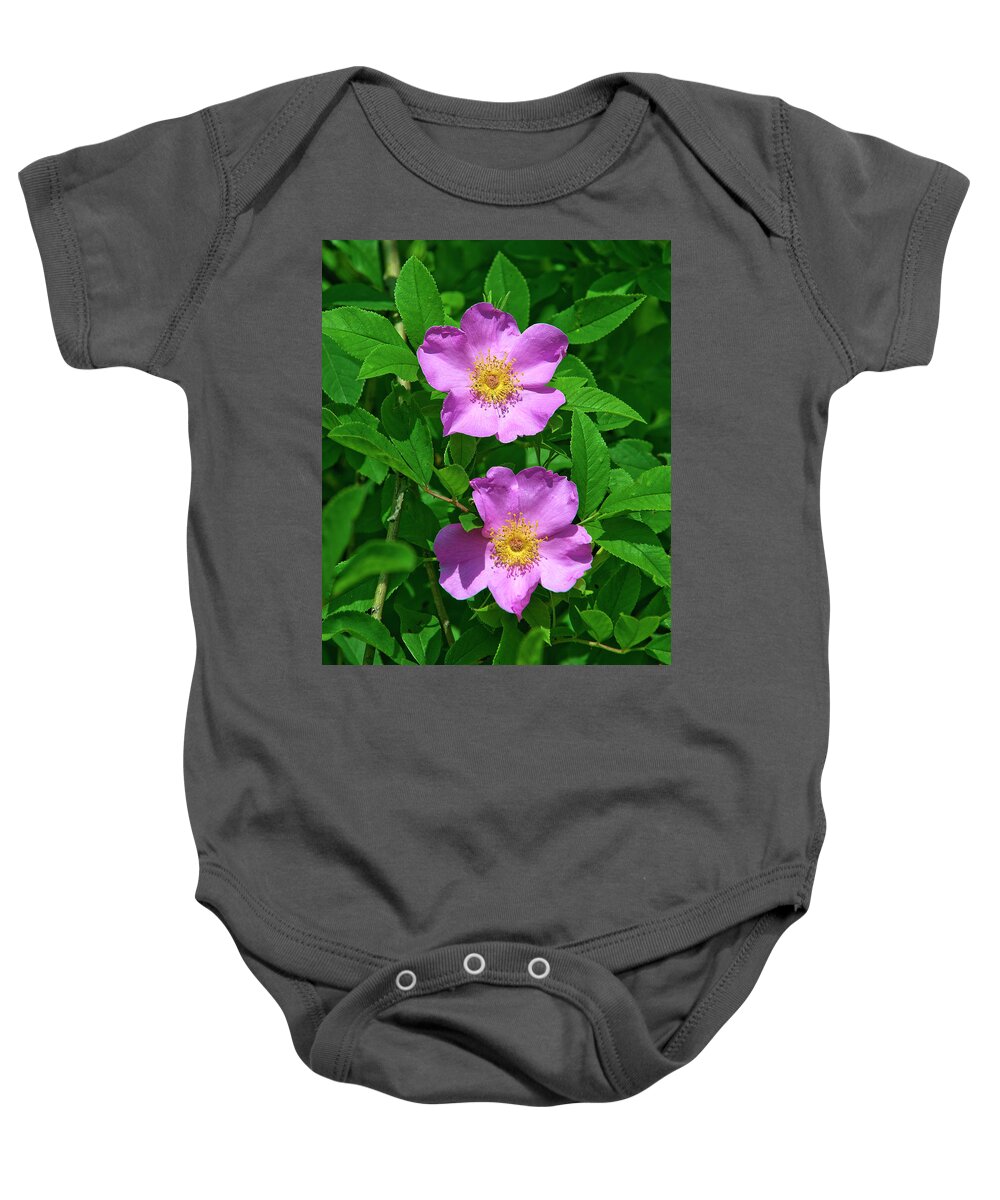 Nature Baby Onesie featuring the photograph Swamp Roses Rosa palustris DSMF179 by Gerry Gantt