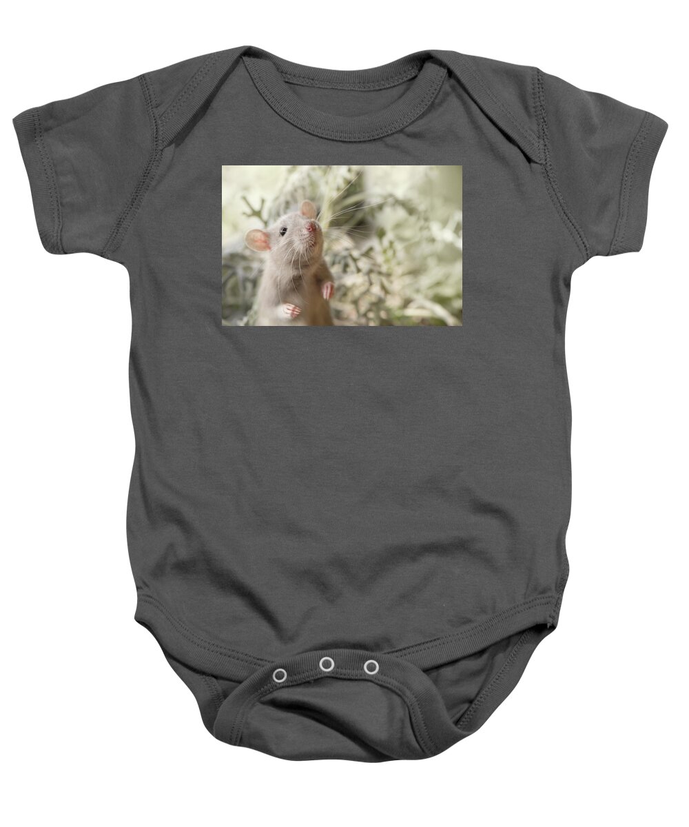 Rat Baby Onesie featuring the photograph Sweet Rat Standing by Naomi Maya