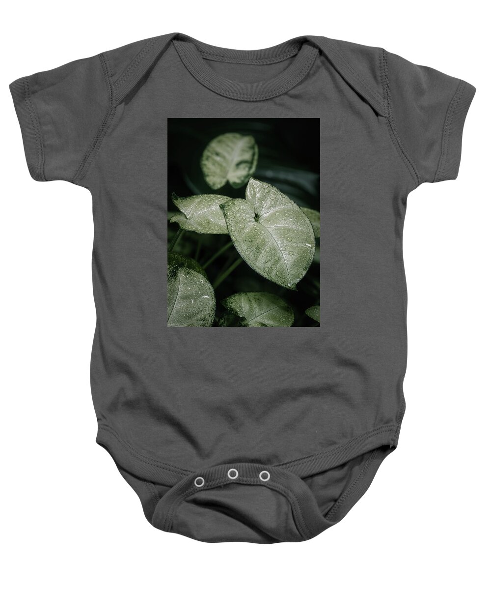 Close-up Baby Onesie featuring the photograph Syngonium houseplant leaves by Benoit Bruchez