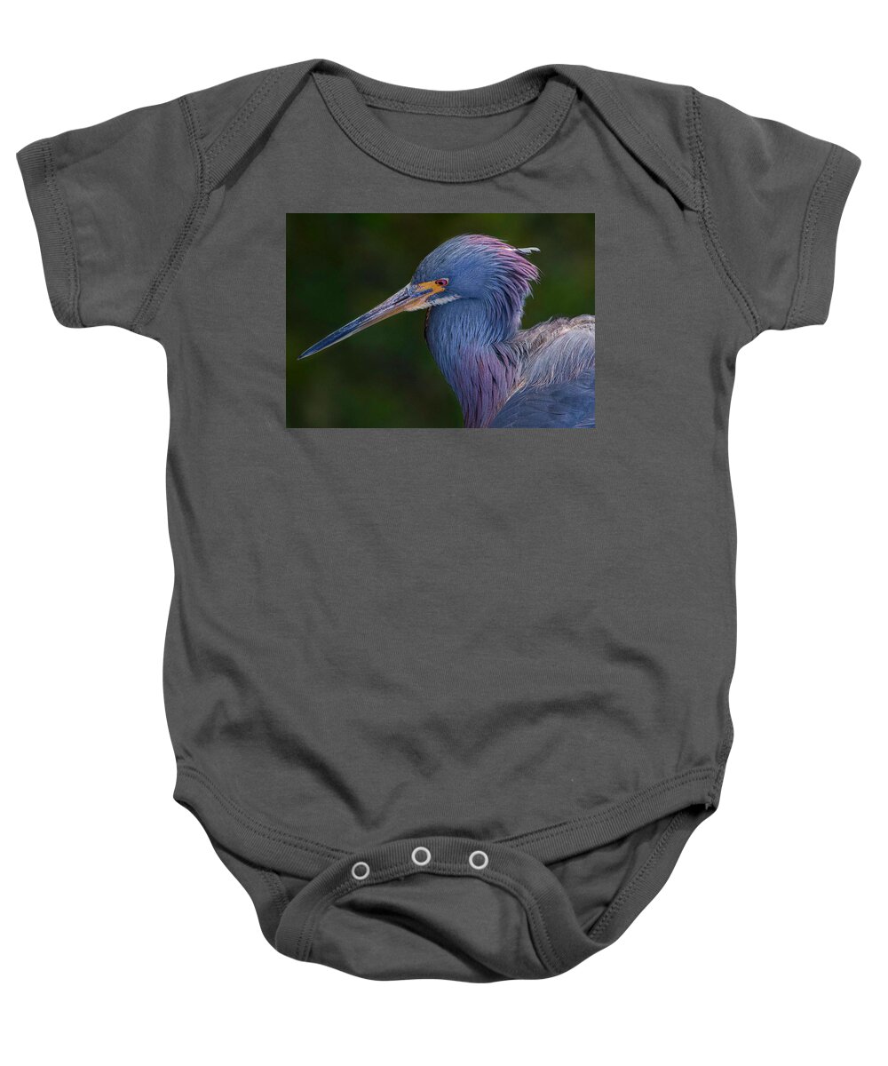 Heron Baby Onesie featuring the photograph Take My Photo by Les Greenwood