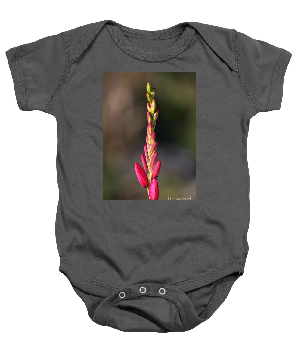 Ixia Baby Onesie featuring the photograph Tall Ixia Bloom by Joy Watson