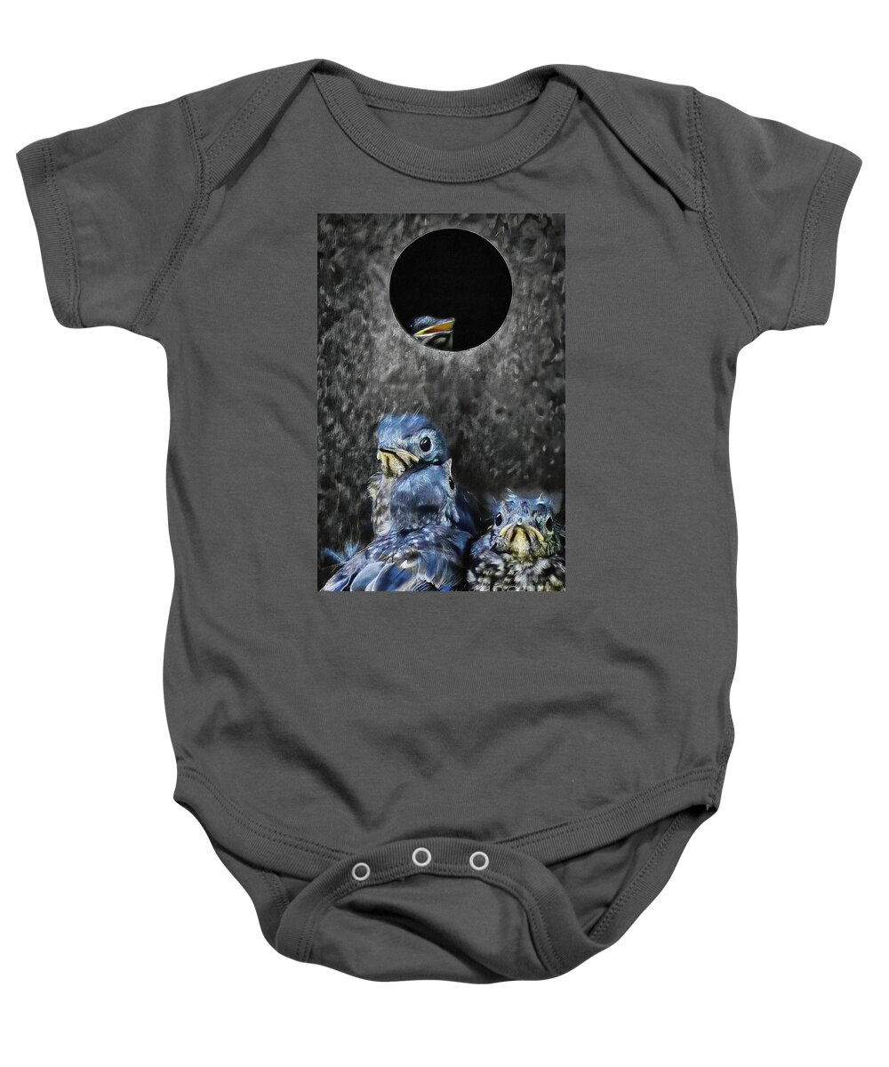Birds Baby Onesie featuring the photograph The Big Day by Lois Bryan