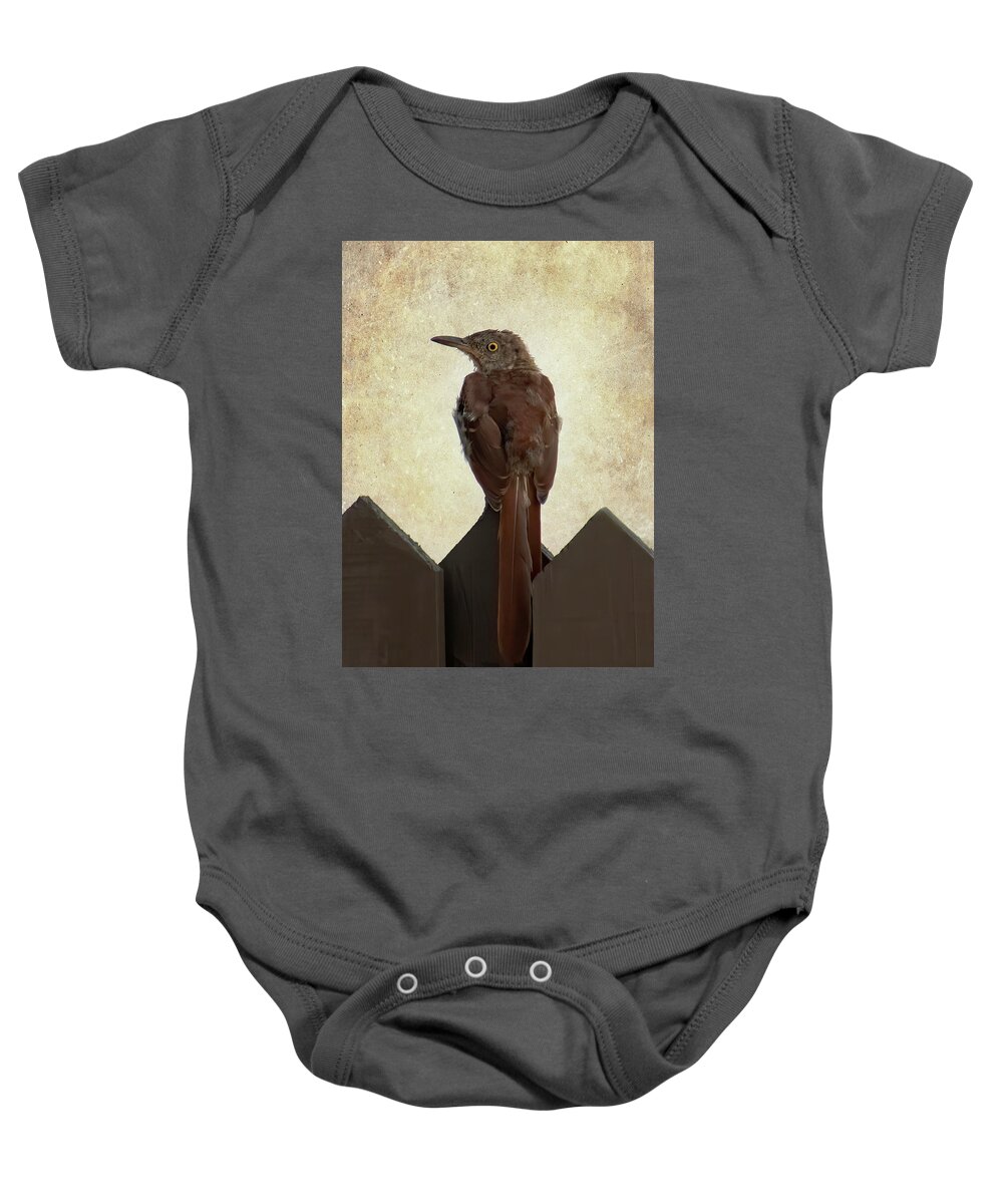  Baby Onesie featuring the photograph The Brown Thrasher of Georgia by Mary Buck