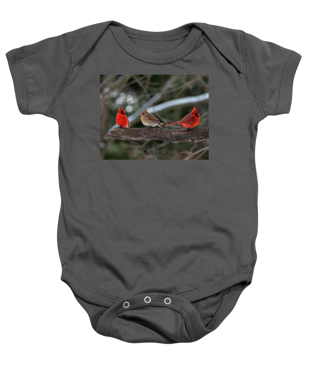 Cardinal Baby Onesie featuring the photograph The College of Cardinals by Regina Muscarella