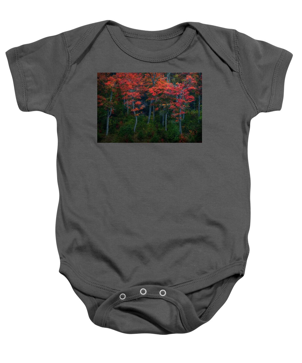 Autumn Baby Onesie featuring the photograph The Dancing Trees by Henry w Liu