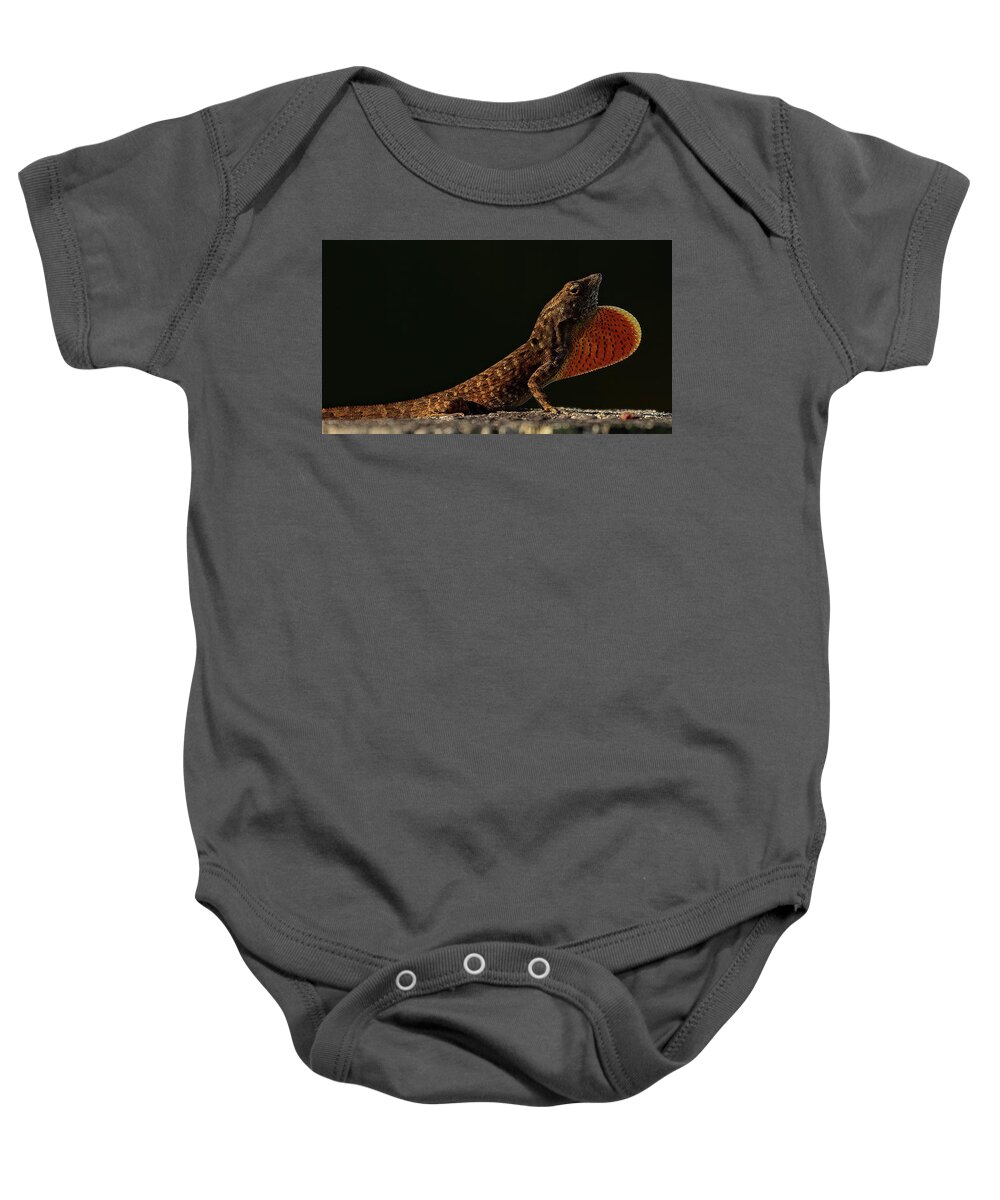 Brown Anole Baby Onesie featuring the photograph The Display by RD Allen