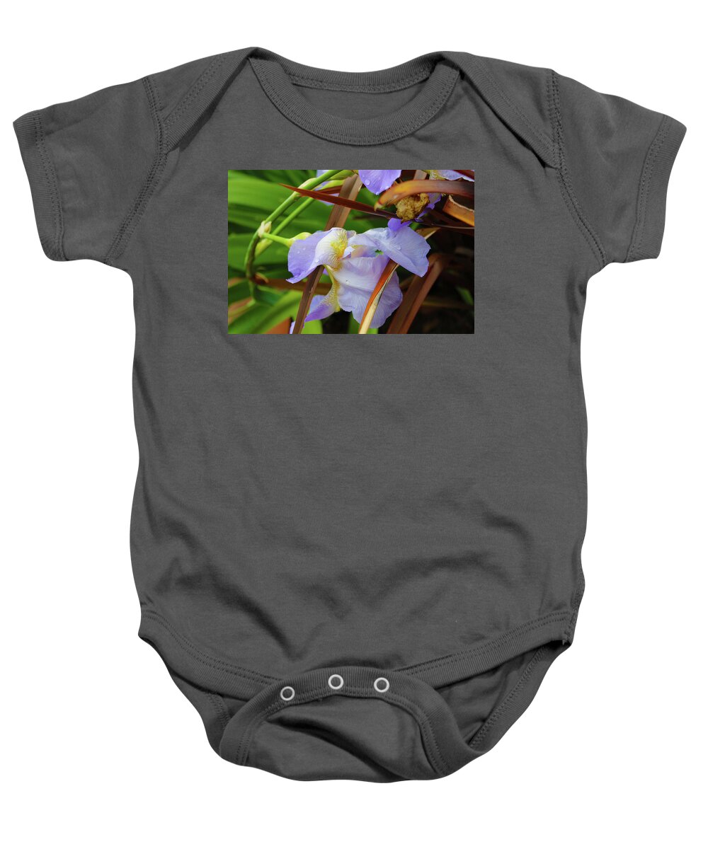 Flowers Baby Onesie featuring the photograph The Eye of the Iris by Marcus Jones