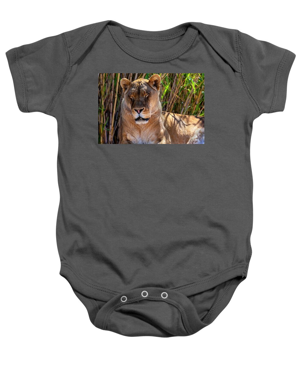  Baby Onesie featuring the photograph The Lion Sleeps Tonight by Al Judge