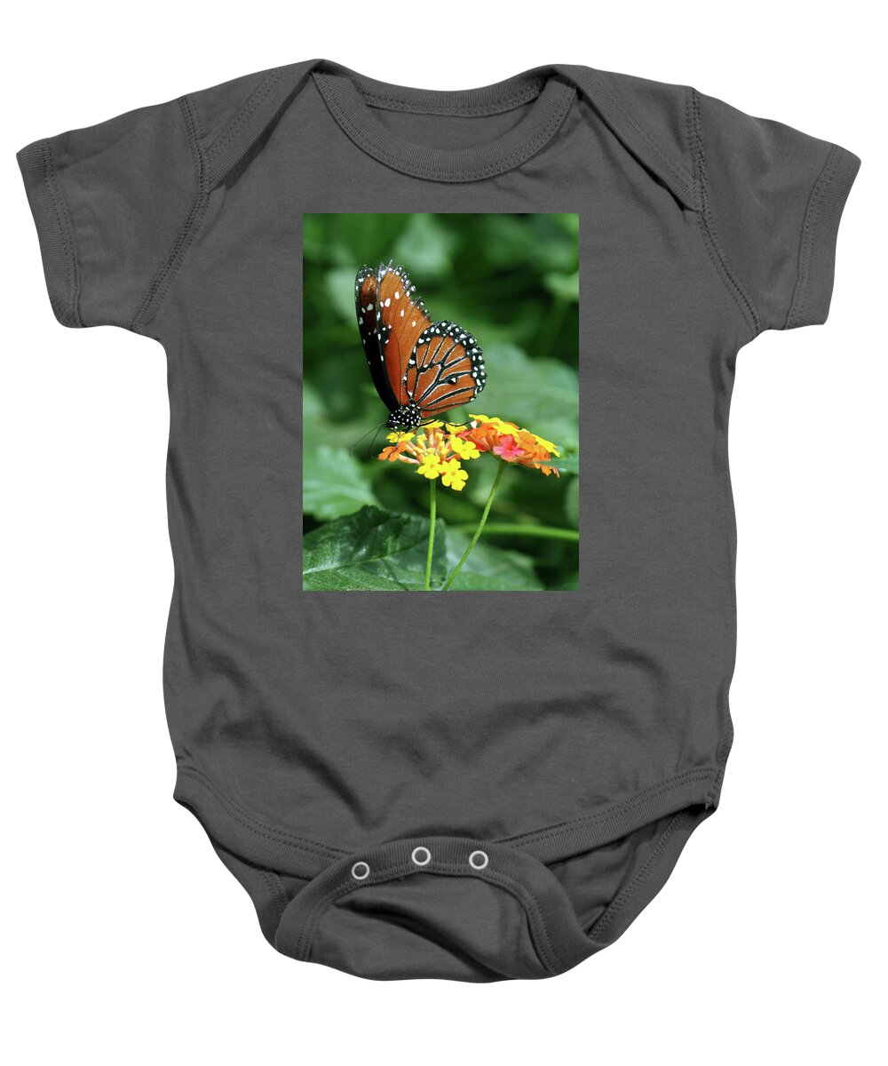 Insect Baby Onesie featuring the photograph The Monarch by Jim Feldman