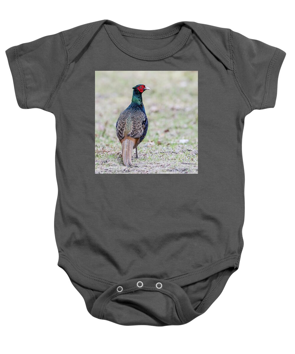 Pheasant Baby Onesie featuring the photograph The Pheasant Beauty s back by Torbjorn Swenelius