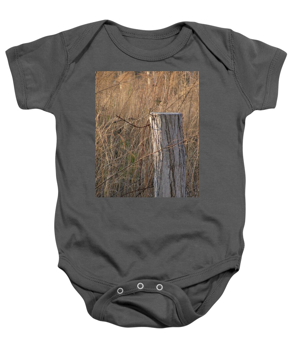  Baby Onesie featuring the photograph The Post by Heather E Harman