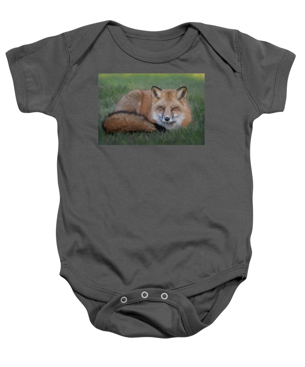 Red Fox Baby Onesie featuring the photograph The Red Fox by Sylvia Goldkranz