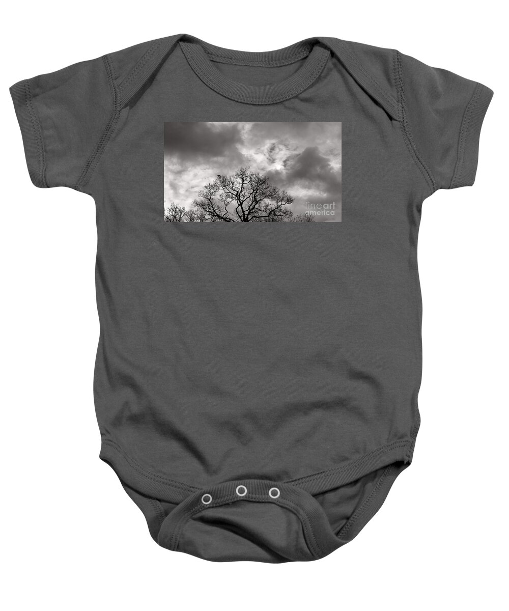 Trees Arboles Baby Onesie featuring the photograph The Tree and the Clouds by Tony Lee