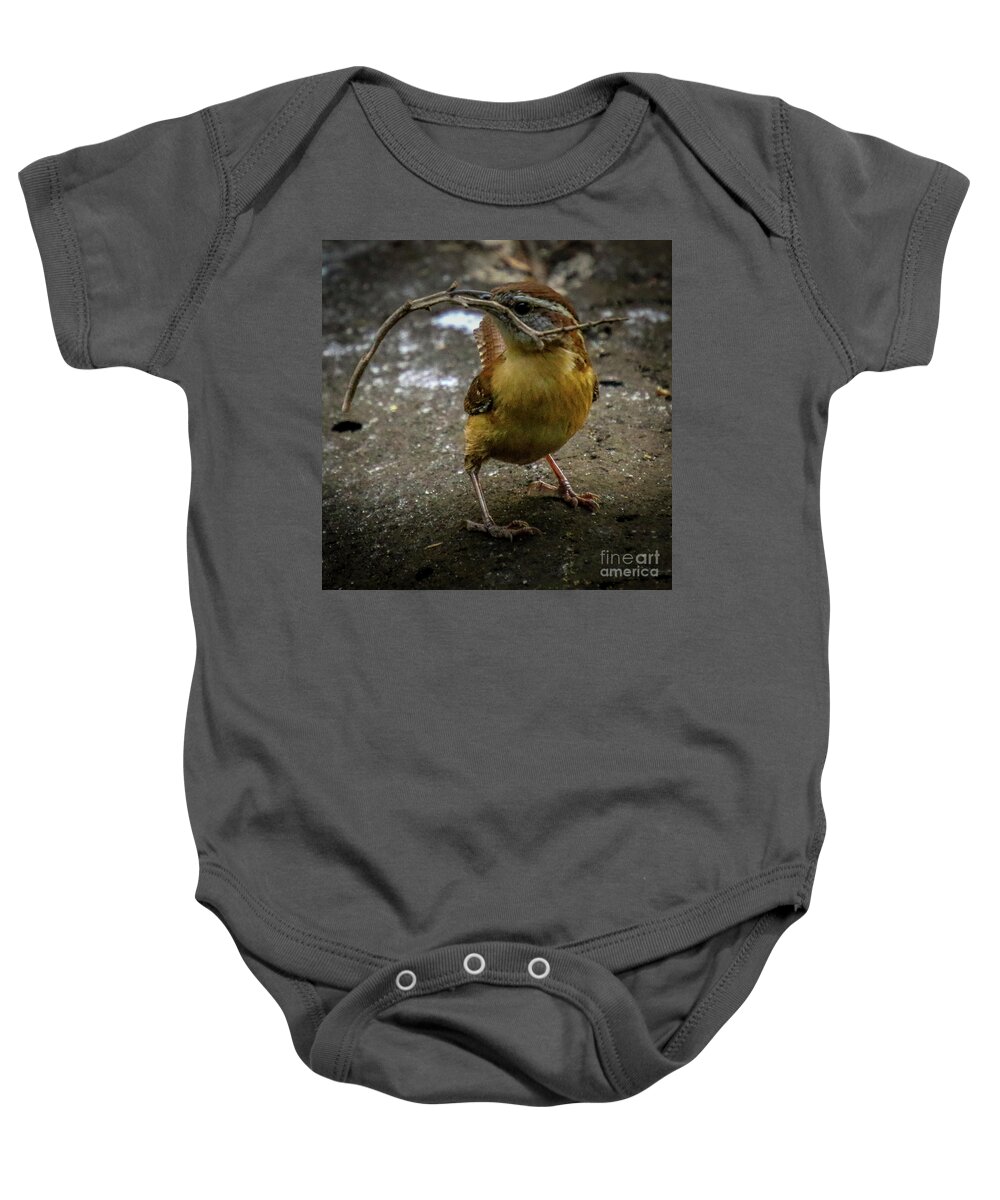 Wren Baby Onesie featuring the photograph The Wren Is A Family Wren by Philip And Robbie Bracco