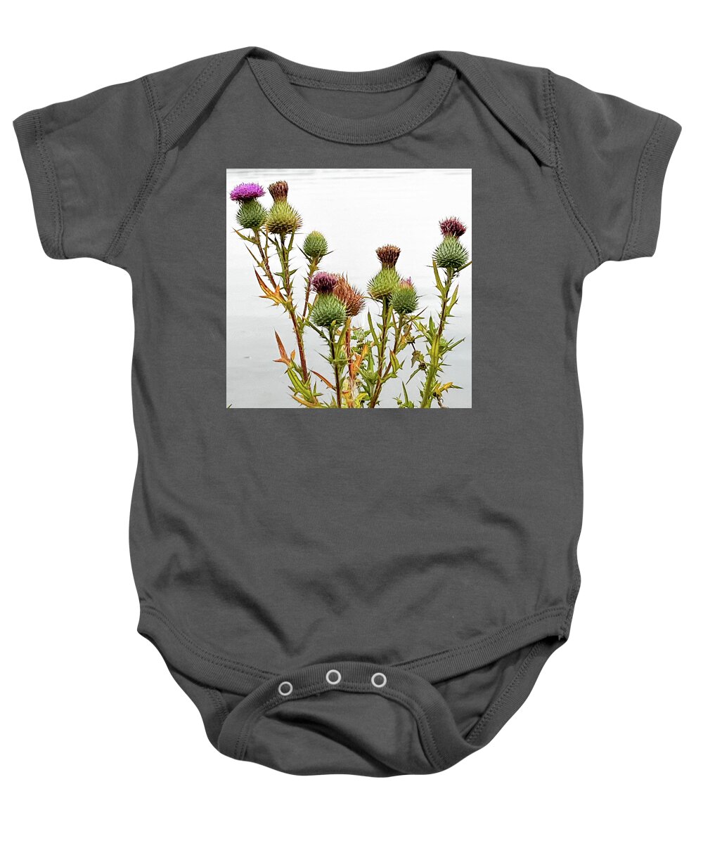 Thistles Baby Onesie featuring the photograph Thistles by James Canning