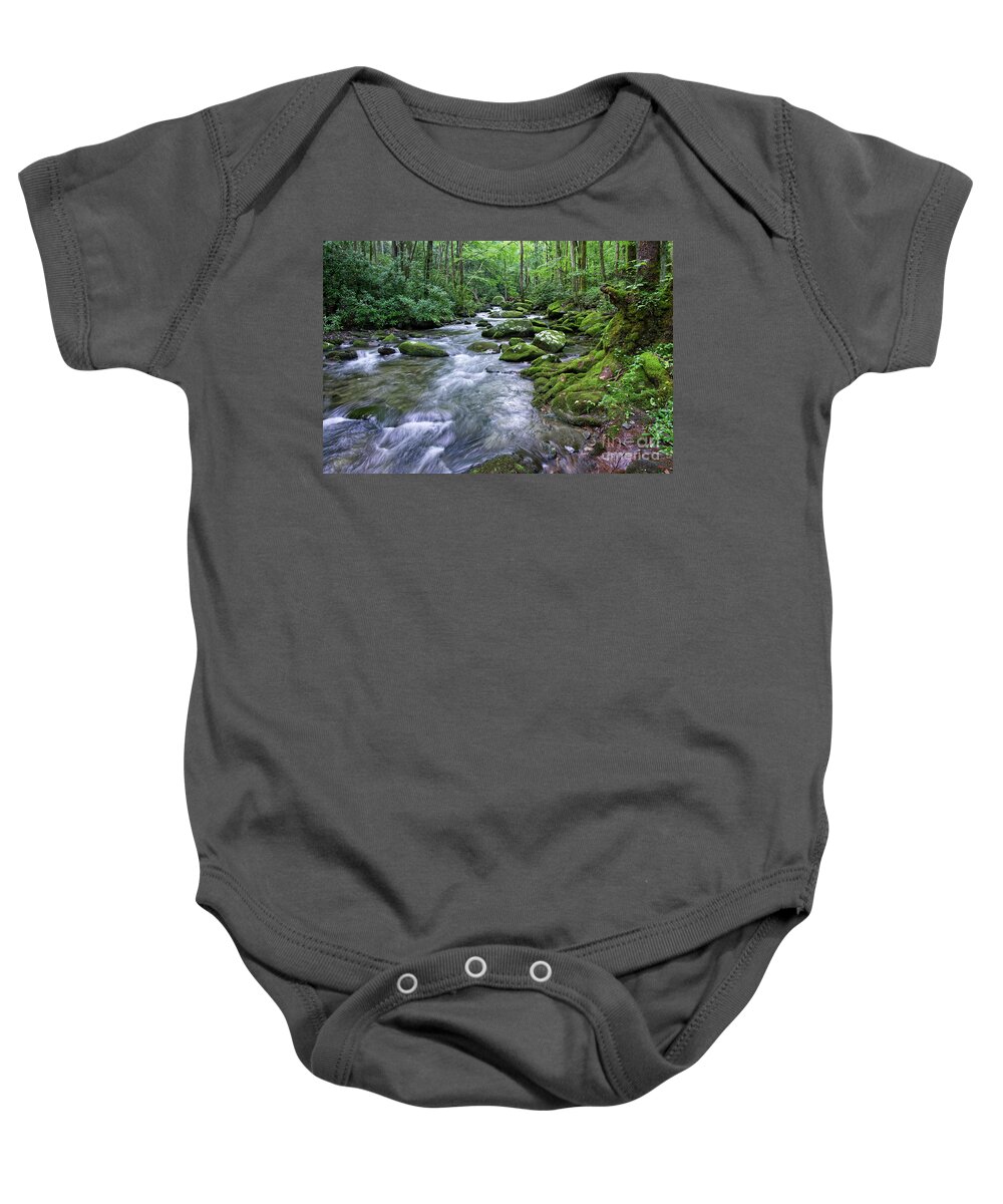 Smoky Mountains Baby Onesie featuring the photograph Thunderhead Prong 15 by Phil Perkins