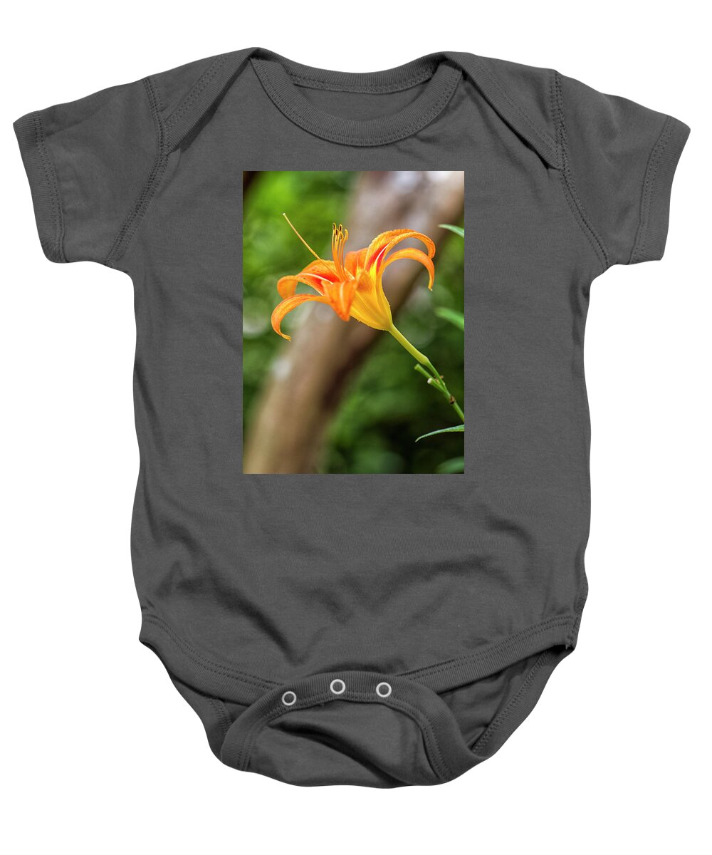 Tiger Lily Baby Onesie featuring the photograph Tiger Lily Bloom by Bob Decker