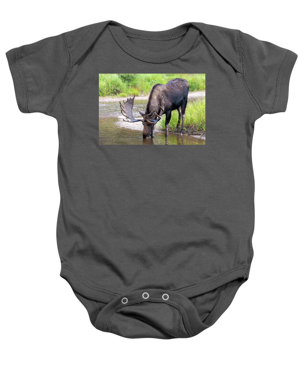 Moose Baby Onesie featuring the photograph Time for a Drink by Darlene Bushue