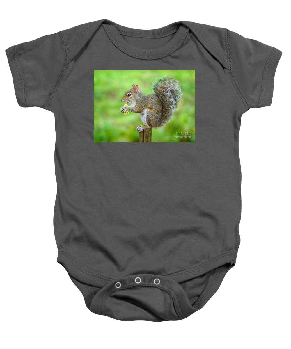Wild Animals Baby Onesie featuring the photograph Time for a Snack by Judy Kay