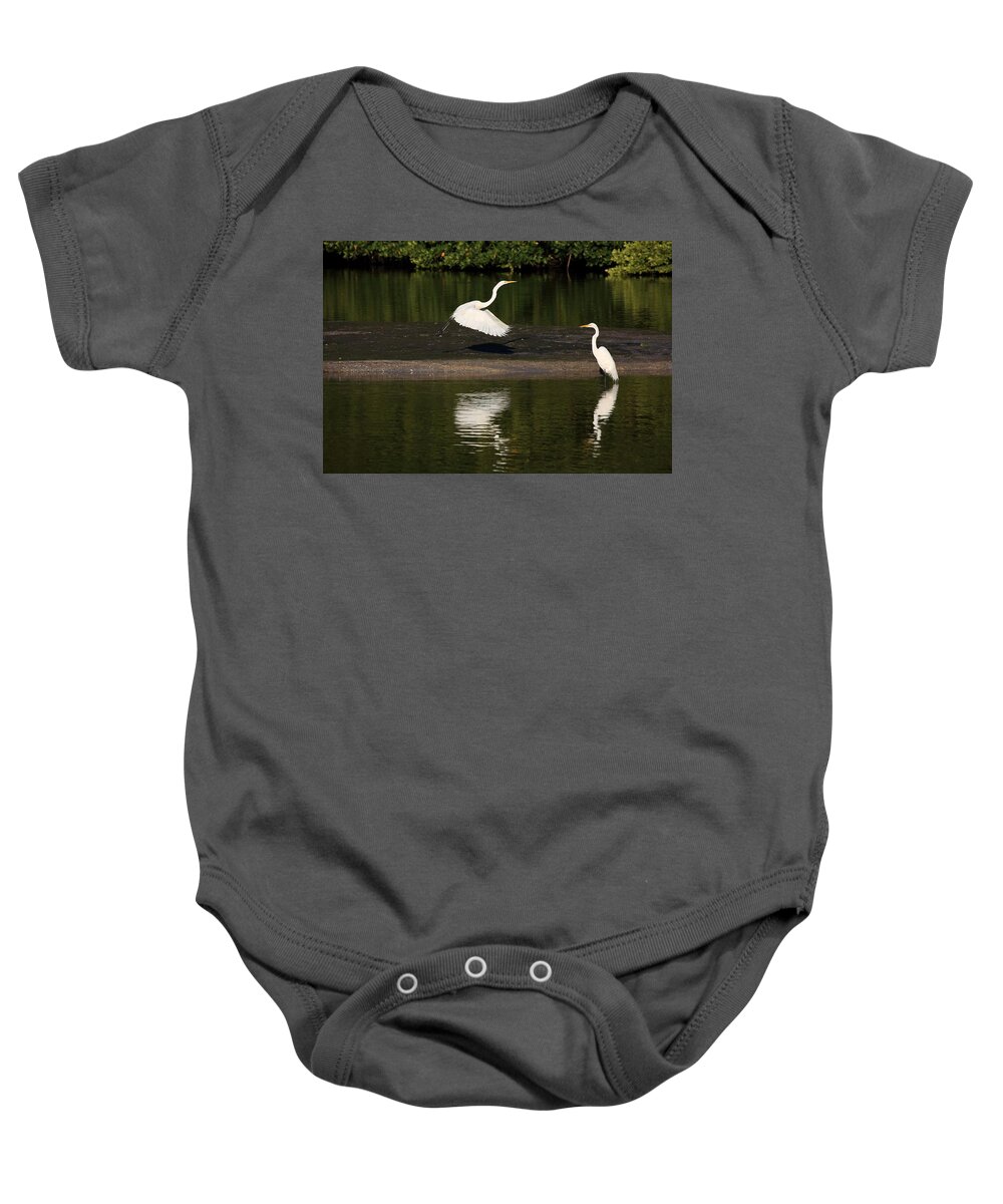 Great Egret Baby Onesie featuring the photograph Tranquil Scenery 1 by Mingming Jiang