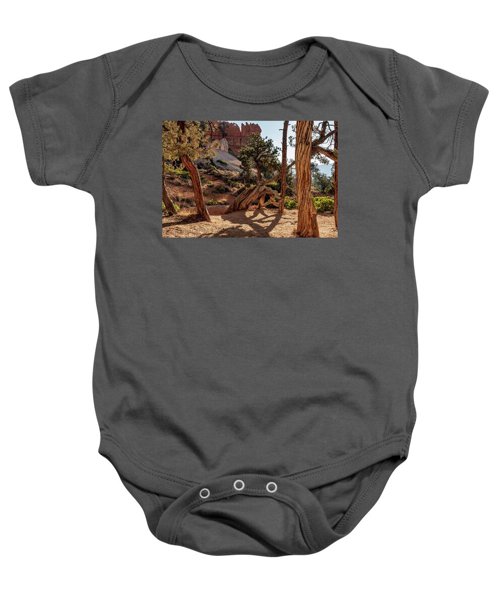 Beauty In Nature Baby Onesie featuring the photograph Tree at Bryce by Nathan Wasylewski