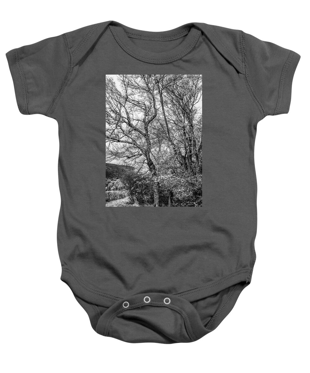 Cades Baby Onesie featuring the photograph Trees on the Edge of the Forest in Black and White by Debra and Dave Vanderlaan