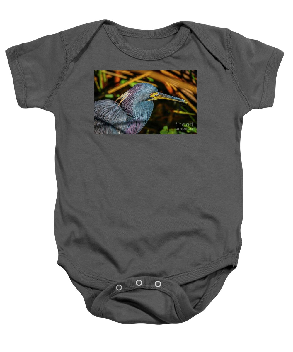 Heron Baby Onesie featuring the photograph Tricolor Portrait by Tom Claud