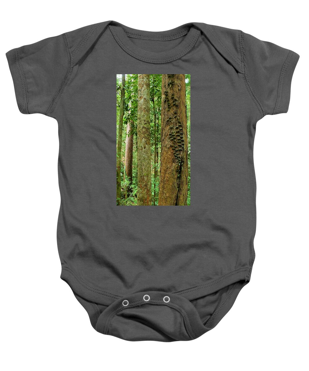 Tropical Forest Baby Onesie featuring the photograph Tropical Forest 1 by Robert Bociaga