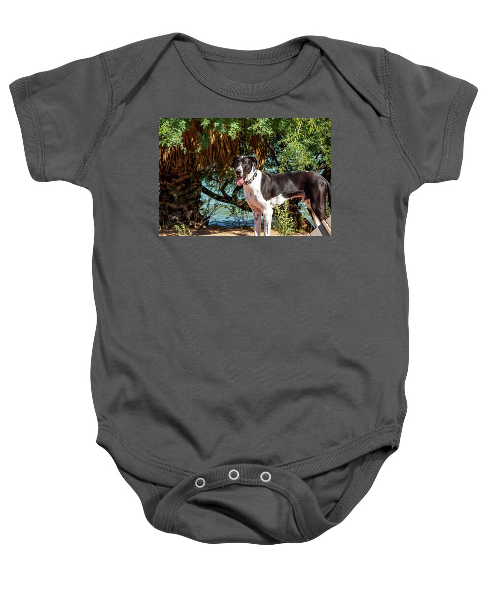 Dog Baby Onesie featuring the photograph Tucker - Paintography by Anthony Jones