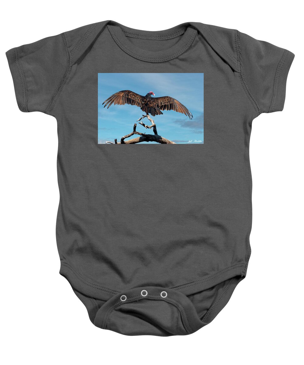 Adult Baby Onesie featuring the photograph Turkey Vulture Perched in a Dead Tree by Jeff Goulden